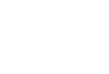 SonicData